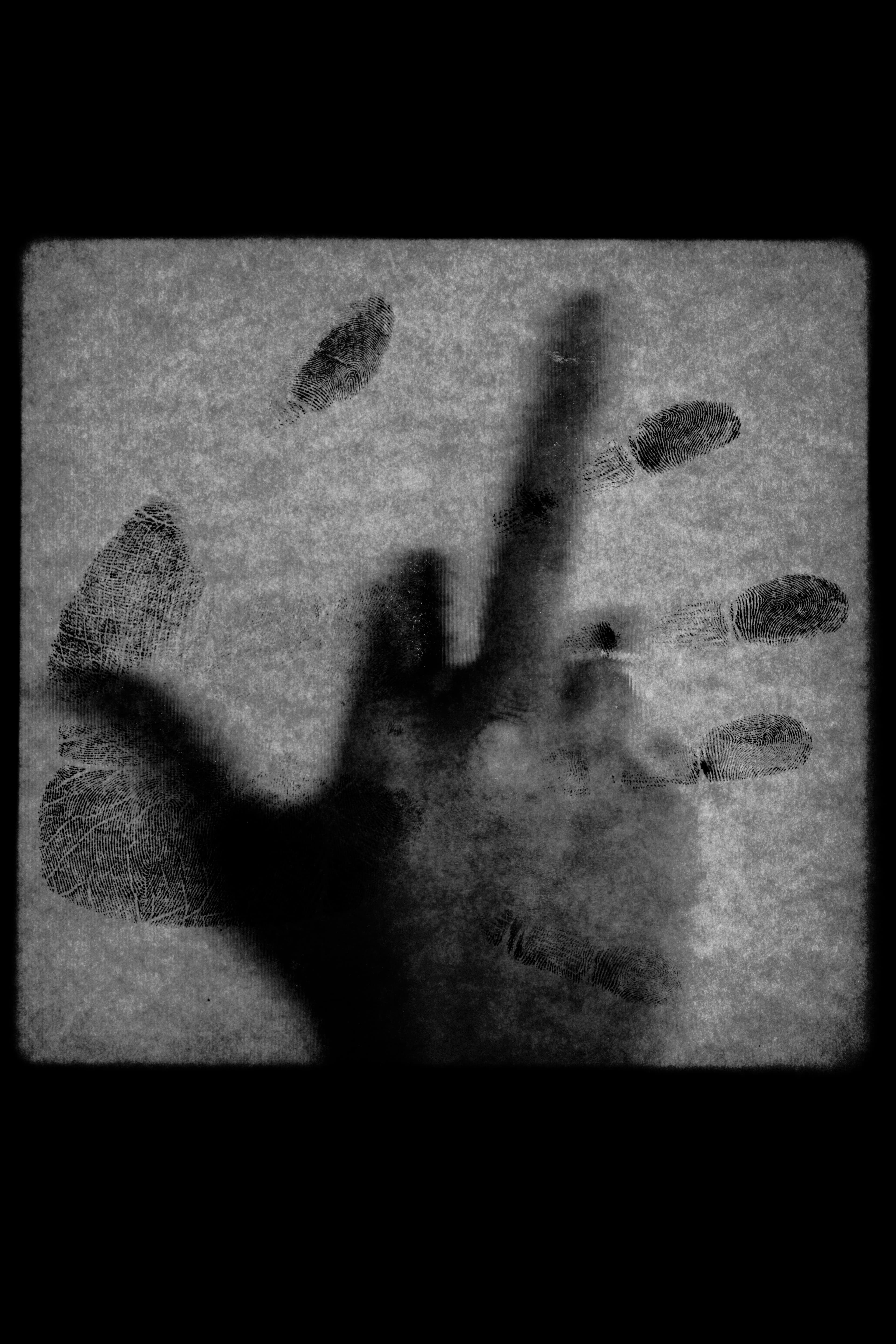 Traces of Identity II by Dmitrii Shirnin